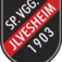 (c) Spvgg03-ilvesheim.de